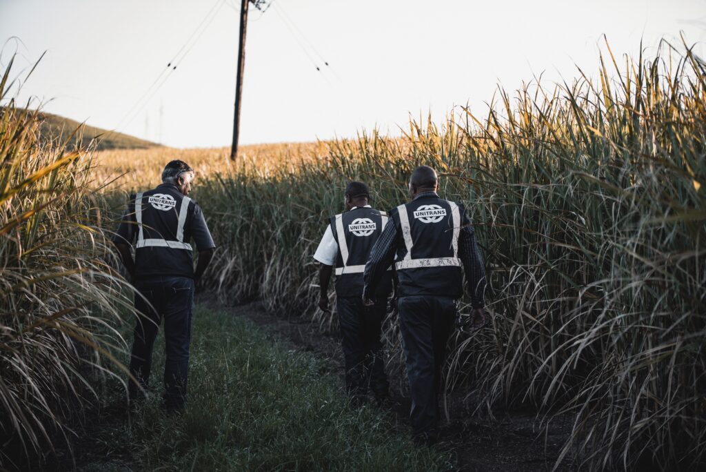 From Silos to Shared Solutions: Rethinking Supply Chain Resilience in Africa